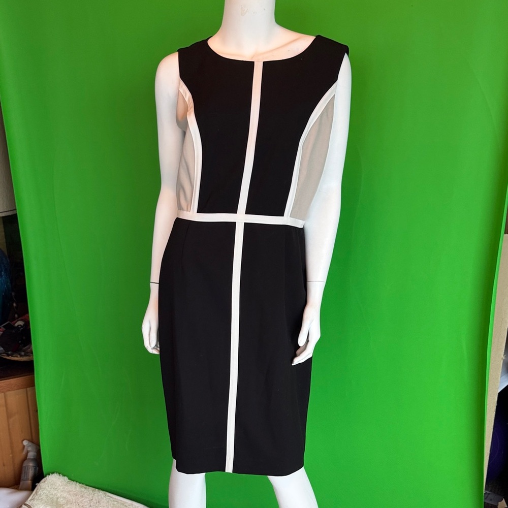 Calvin Klein Elegant Black and White Dress